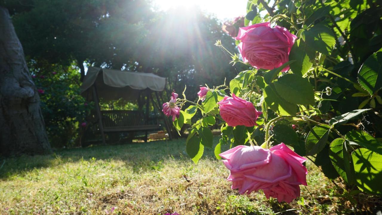 Kavet Palio Cottage PalaiónTsiflíkion Eksteriør billede